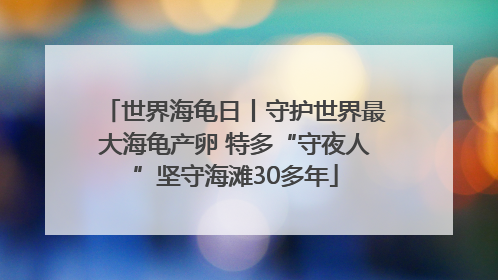 世界海龟日丨守护世界最大海龟产卵 特多“守夜人”坚守海滩30多年