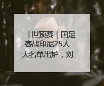 世预赛｜国足客战印尼25人大名单出炉，刘若钒落选