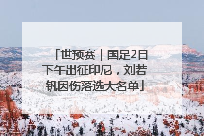 世预赛｜国足2日下午出征印尼，刘若钒因伤落选大名单