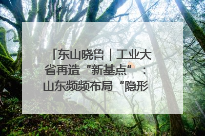 东山晓鲁｜工业大省再造“新基点”：山东频频布局“隐形冠军”背后