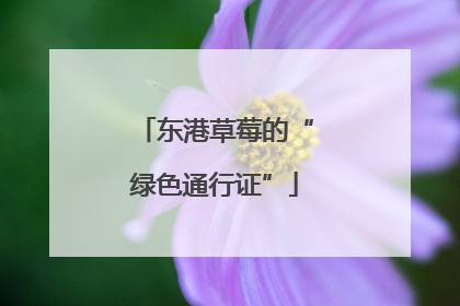 东港草莓的“绿色通行证”