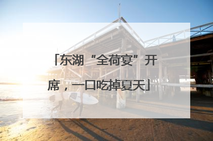 东湖“全荷宴”开席，一口吃掉夏天
