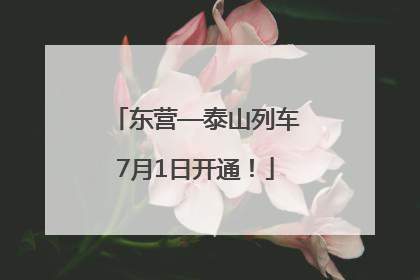 东营—泰山列车7月1日开通！