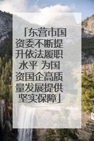 东营市国资委不断提升依法履职水平 为国资国企高质量发展提供坚实保障