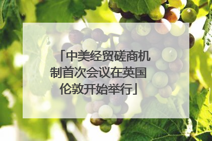 中美经贸磋商机制首次会议在英国伦敦开始举行