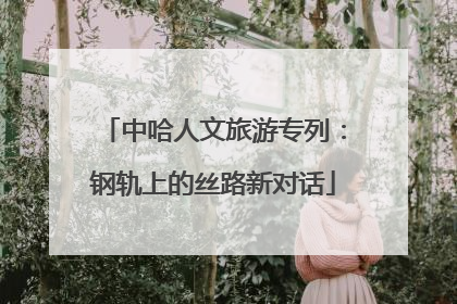 中哈人文旅游专列：钢轨上的丝路新对话