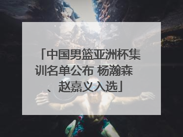 中国男篮亚洲杯集训名单公布 杨瀚森、赵嘉义入选