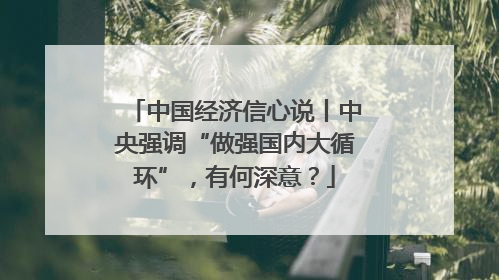 中国经济信心说丨中央强调“做强国内大循环”，有何深意？