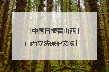 中国日报看山西｜山西立法保护文物
