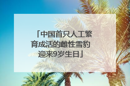 中国首只人工繁育成活的雌性雪豹迎来9岁生日