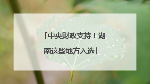 中央财政支持！湖南这些地方入选