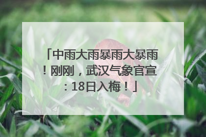 中雨大雨暴雨大暴雨！刚刚，武汉气象官宣：18日入梅！