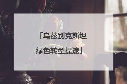 乌兹别克斯坦绿色转型提速