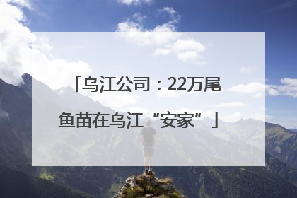 乌江公司：22万尾鱼苗在乌江“安家”