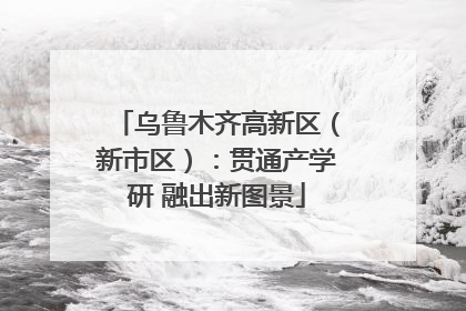 乌鲁木齐高新区（新市区）：贯通产学研 融出新图景