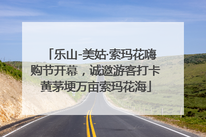 乐山-美姑·索玛花嗨购节开幕，诚邀游客打卡黄茅埂万亩索玛花海
