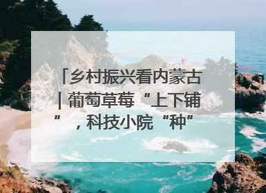 乡村振兴看内蒙古｜葡萄草莓“上下铺”，科技小院“种”出三倍效益