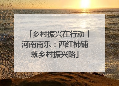 乡村振兴在行动丨河南南乐：西红柿铺就乡村振兴路