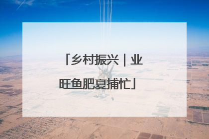乡村振兴｜业旺鱼肥夏捕忙