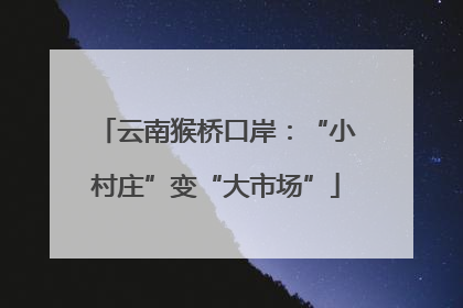 云南猴桥口岸：“小村庄”变“大市场”