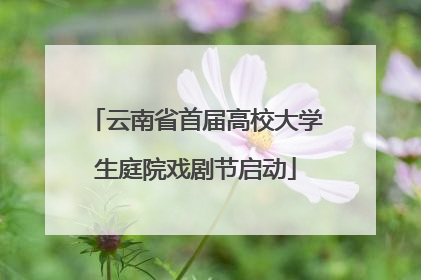 云南省首届高校大学生庭院戏剧节启动
