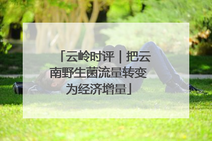 云岭时评｜把云南野生菌流量转变为经济增量