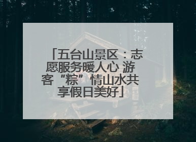 五台山景区：志愿服务暖人心 游客“粽”情山水共享假日美好