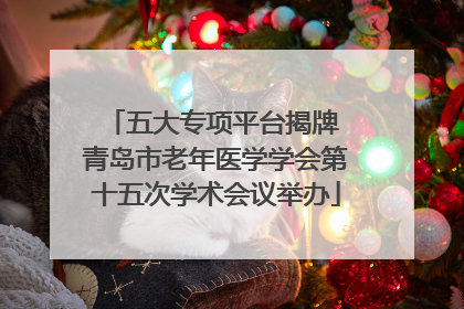 五大专项平台揭牌 青岛市老年医学学会第十五次学术会议举办