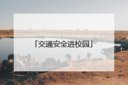 交通安全进校园