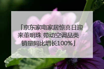 京东家电家居惊喜日迎来董明珠 带动空调品类销量同比增长100%