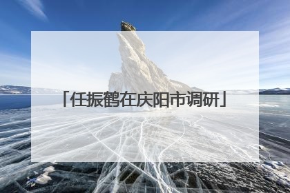 任振鹤在庆阳市调研