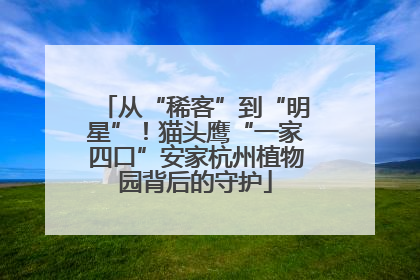 从“稀客”到“明星”！猫头鹰“一家四口”安家杭州植物园背后的守护