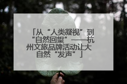 从“人类凝视”到“自然回望”——杭州文旅品牌活动让大自然“发声”