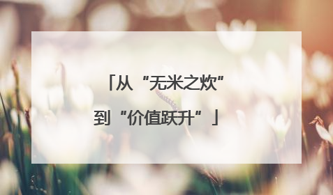 从“无米之炊”到“价值跃升”
