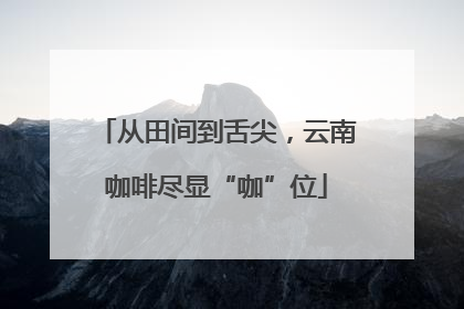 从田间到舌尖，云南咖啡尽显“咖”位