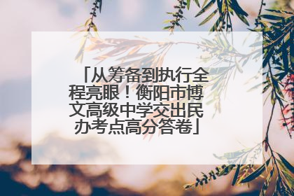 从筹备到执行全程亮眼！衡阳市博文高级中学交出民办考点高分答卷
