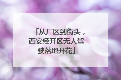 从厂区到街头，西安经开区无人驾驶落地开花