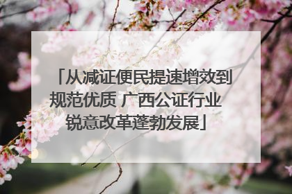 从减证便民提速增效到规范优质 广西公证行业锐意改革蓬勃发展