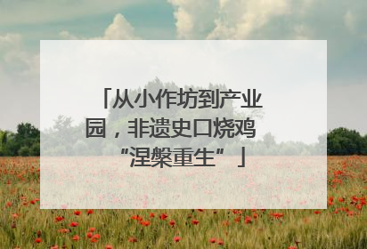 从小作坊到产业园，非遗史口烧鸡“涅槃重生”