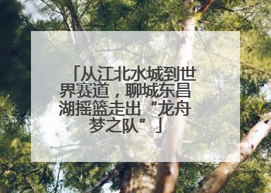 从江北水城到世界赛道，聊城东昌湖摇篮走出“龙舟梦之队”