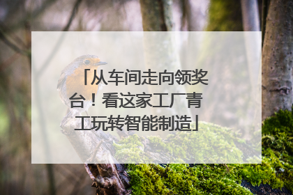 从车间走向领奖台！看这家工厂青工玩转智能制造