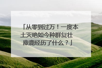 从零到过万！一度本土灭绝如今种群复壮 麋鹿经历了什么？