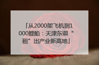 从2000架飞机到1000艘船：天津东疆“租”出产业新高地