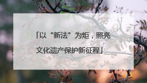 以“新法”为炬，照亮文化遗产保护新征程