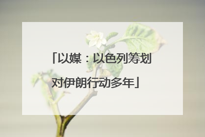 以媒：以色列筹划对伊朗行动多年