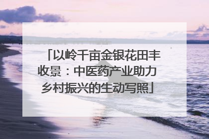 以岭千亩金银花田丰收景：中医药产业助力乡村振兴的生动写照