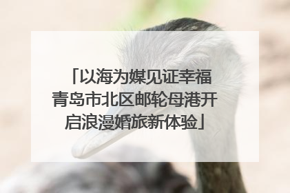 以海为媒见证幸福 青岛市北区邮轮母港开启浪漫婚旅新体验