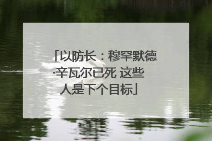 以防长：穆罕默德·辛瓦尔已死 这些人是下个目标