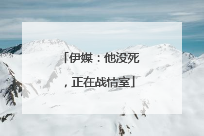 伊媒：他没死，正在战情室