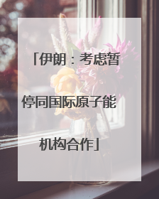 伊朗：考虑暂停同国际原子能机构合作